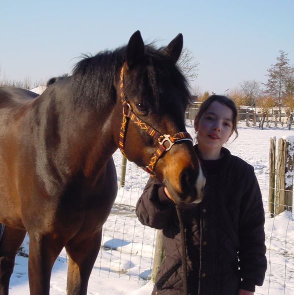 Dagen det ble en egen hest (10år)